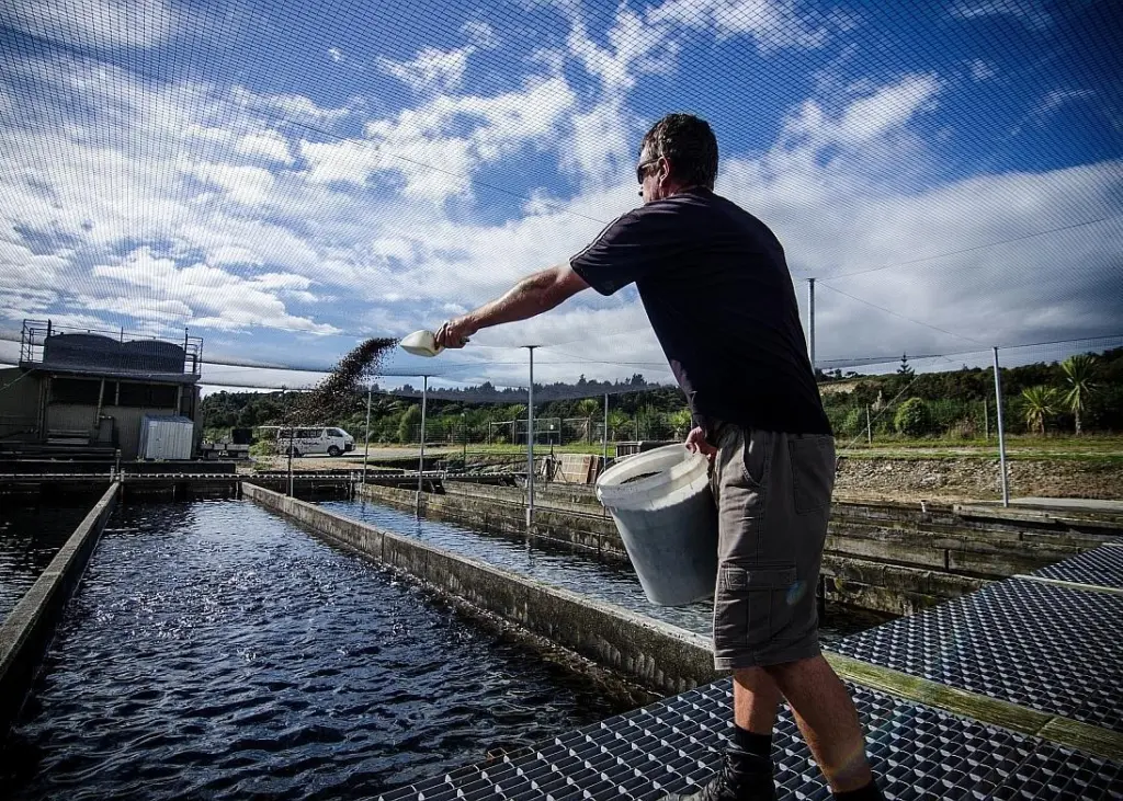 The aim is to develop a high-quality, species-specific feed that significantly improves on the generic products currently available