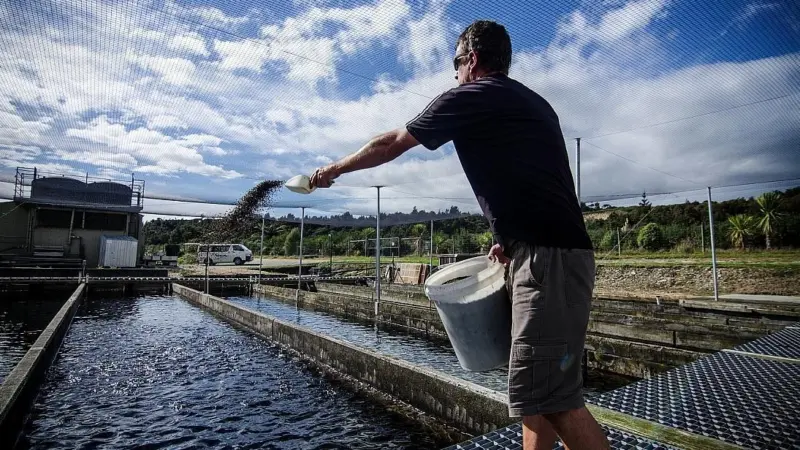 The aim is to develop a high-quality, species-specific feed that significantly improves on the generic products currently available