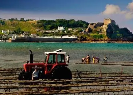 The Jersey Oyster Company has become the first oyster farm in the world to meet the ASC standard for responsible bivalve aquaculture