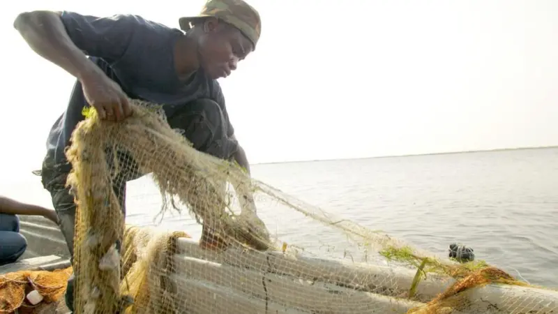 The project aims to strengthen Africa’s great potential for increased trade in fish. Credit: WorldFish