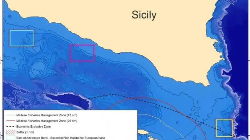 The Strait of Sicily has been trawled intensively for decades for its valuable deep-water rose shrimp and hake Photo: Oceana