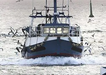 Pingtan expects the Indonesian anti-IUU measures to impact positively on the company’s pricing. Credit: Pingtan