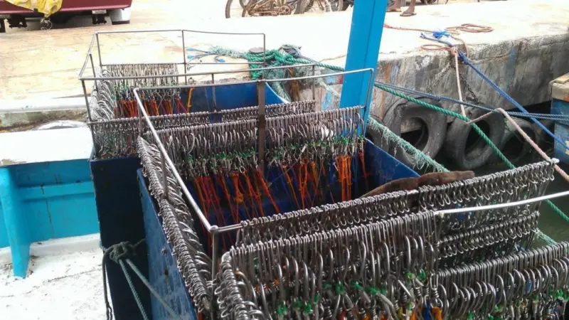 The report focuses on ways that longline fisheries can reduce catching non-target species. ©Sustainable Fisheries Partnership