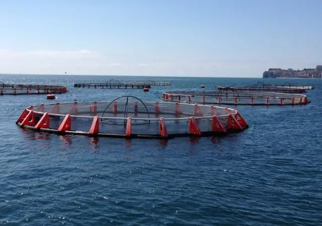 Offshore Mariculture Conference