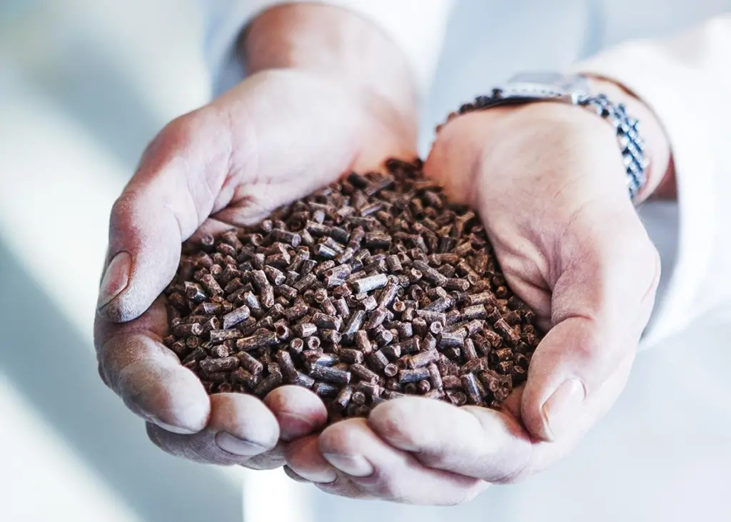 FishKind Protein could reduce the industry’s reliance on unsustainable fish stocks