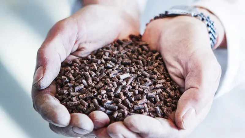 FishKind Protein could reduce the industry’s reliance on unsustainable fish stocks