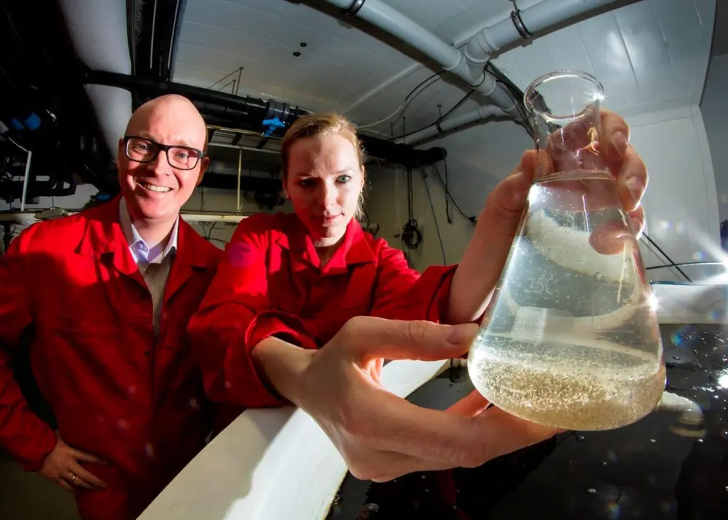 Rune Bjerke and Elin Eidesvik at C-feed. Credit: Thor Nielsen