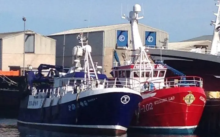 Daisy II and Willing Lad