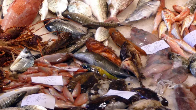 The GFTC has received a $1.3 million grant to support efforts to design a common technology architecture for seafood traceability. Credit: Lucarelli/CC BY-SA 3.0, via Wikimedia Commons