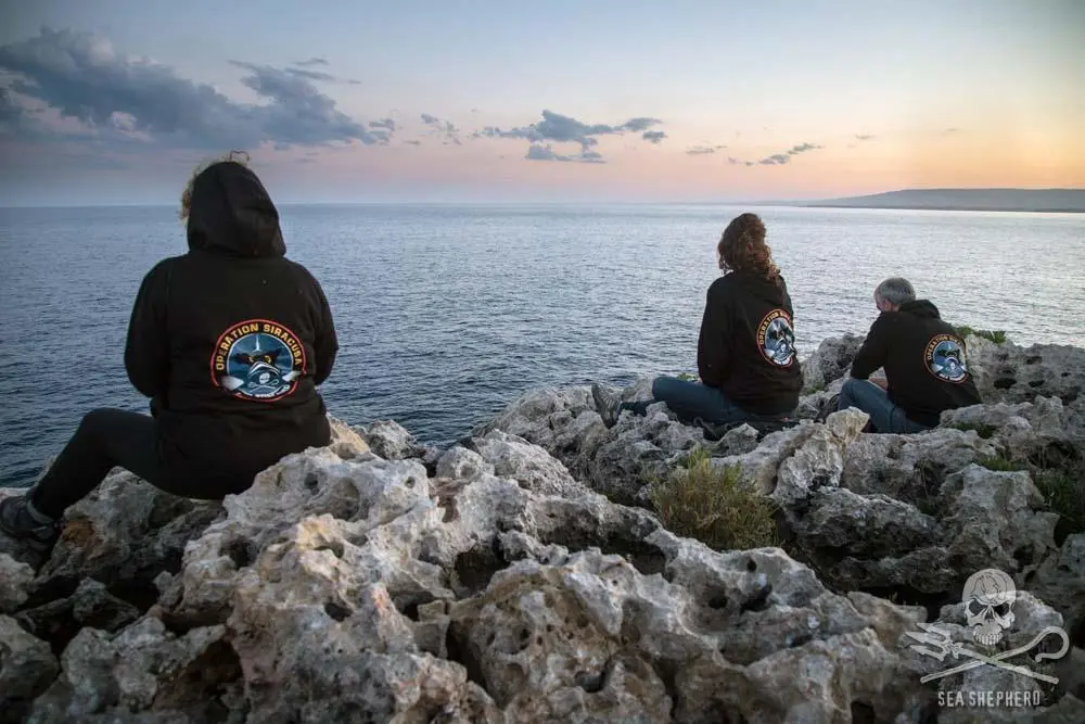 Operation Siracusa volunteers are watching over the Plemmirio Marine Reserve Photo: Marianna Baldo