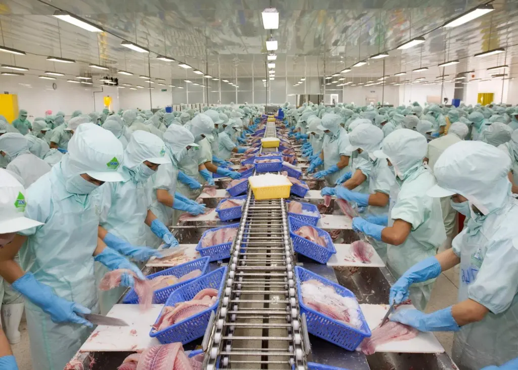 Processing in a Vietnamese seafood factory