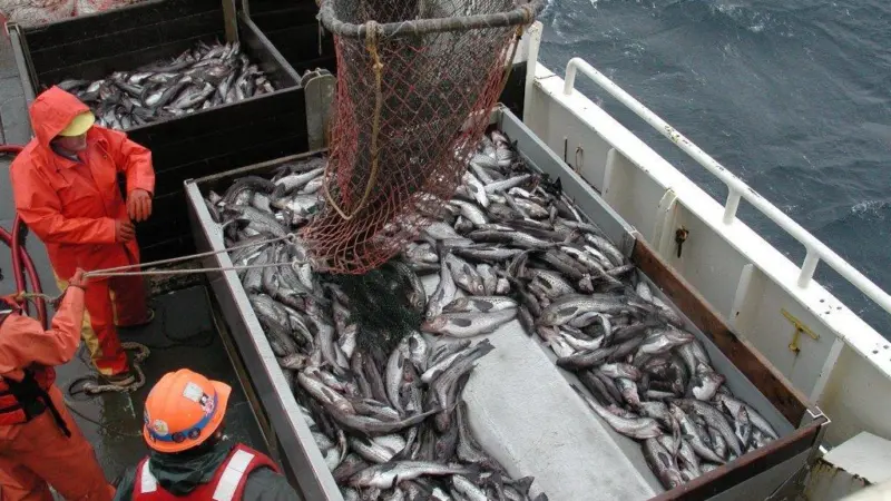 The U.S. House of Representatives has passed legislation reauthorising the Magnuson-Stevens Fishery Conservation and Management Act. Credit: NOAA