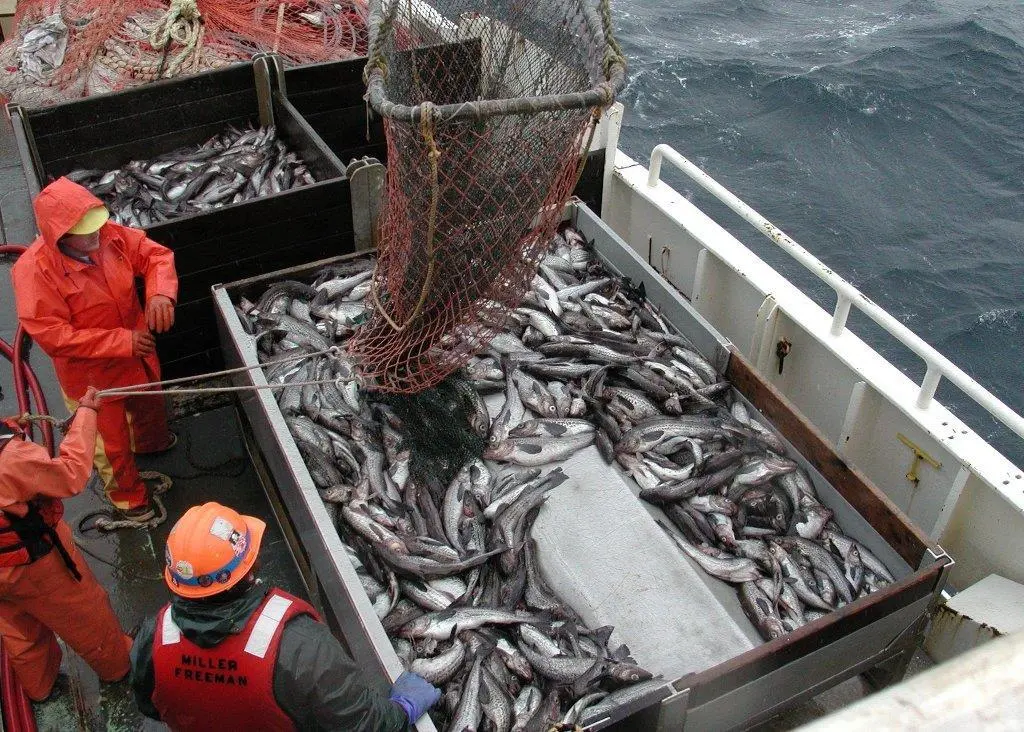 The U.S. House of Representatives has passed legislation reauthorising the Magnuson-Stevens Fishery Conservation and Management Act. Credit: NOAA