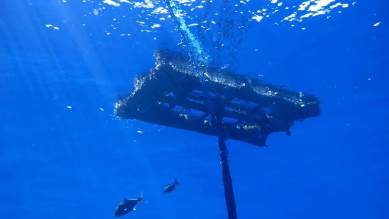 The use of dFADS is threatening the sustainability of tuna fisheries Photo: ISSF