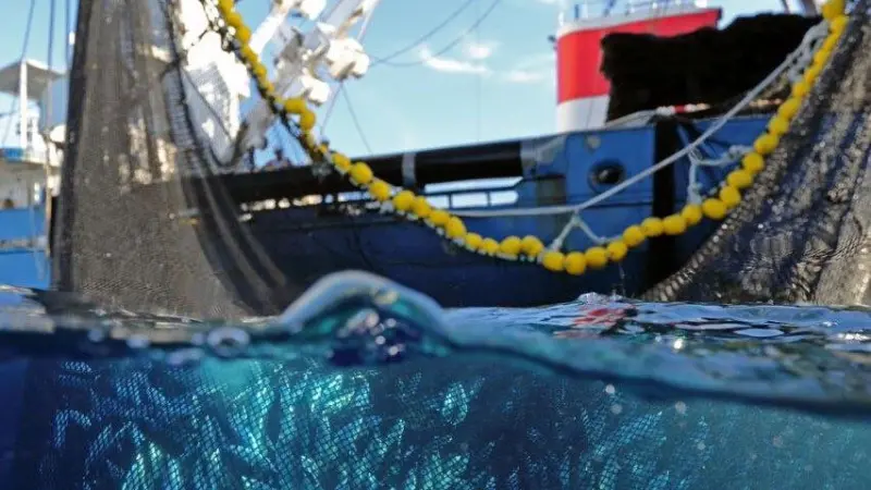 Important steps were taken in 2014 to help ensure the longevity of tuna stocks. Credit: ISSF