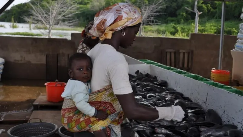 The aim of the initiative is to grow Ghana's aquaculture industry