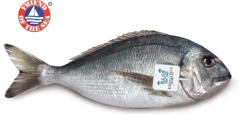 Kefalonia Fisheries has been certified by Friend of the Sea