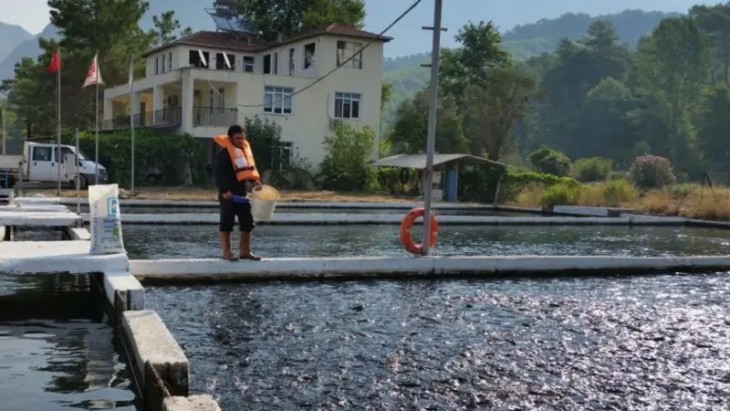 The first trout farm in Turkey has become ASC certified