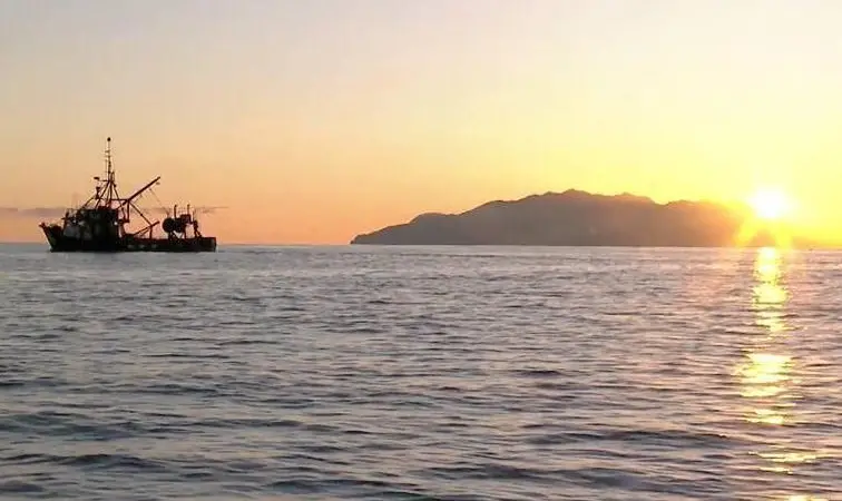 A new dawn for commercial fishers with inshore vessels like Sanford’s ‘Ana’ being fitted with a VMS