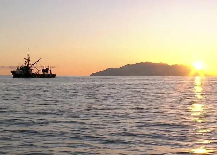 A new dawn for commercial fishers with inshore vessels like Sanford’s ‘Ana’ being fitted with a VMS