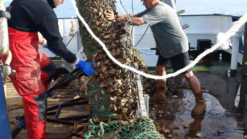 Researchers say setting two thresholds would provide a strong incentive for fishermen to disturb as little of the seabed as possible