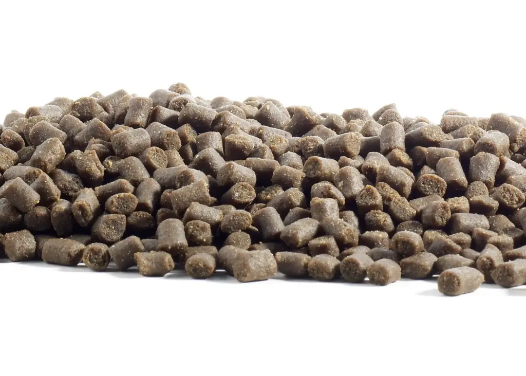 Fish feed. Credit: Slandsvi Solveig O. Landsvik/CC BY-SA 3.0 via Commons
