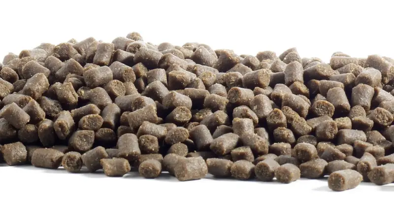 Fish feed. Credit: Slandsvi Solveig O. Landsvik/CC BY-SA 3.0 via Commons