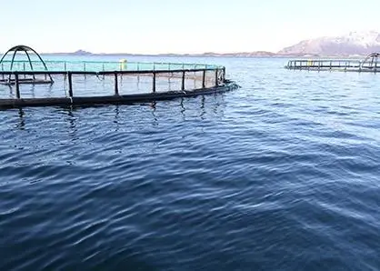 Nordnorsk Stamfisk’s new brood fish site, Kråkåsen at Leines, Steigen