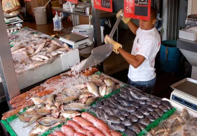Saltonstall-Kennedy grants help fishing communities across the US keep their economies thriving. Credit: NOAA