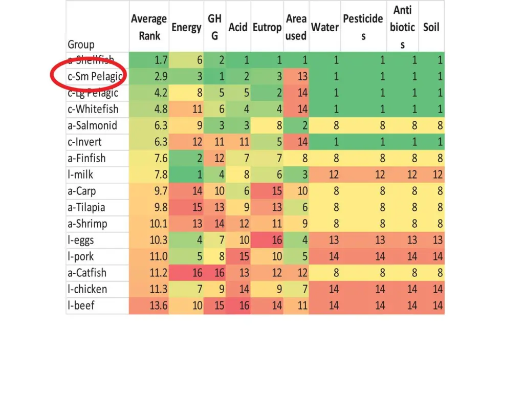 Professor Hillborn found that small pelagic fish are among the most sustainable sources of protein in the world