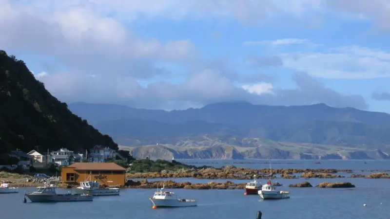 Fisheries are being sustainably managed and overfishing is decreasing in New Zealand