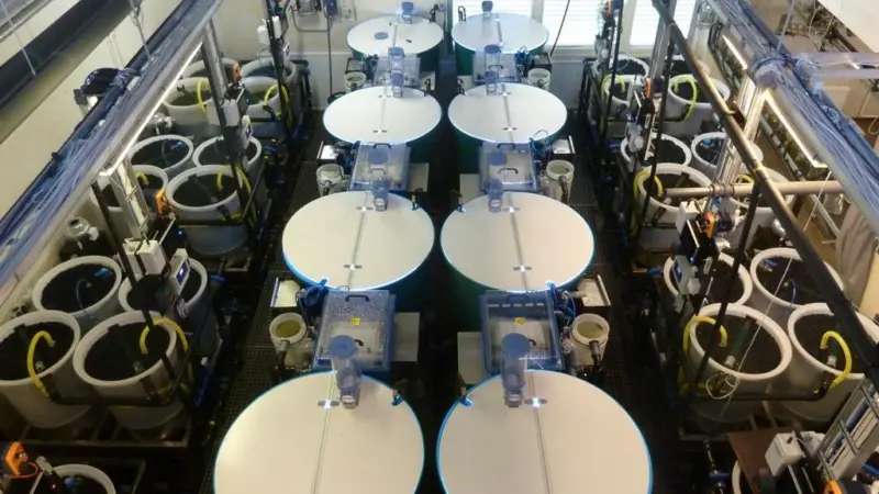 The Laukaa recirculating aquaculture testing and learning environment offers excellent opportunities for R&D on modern and environmentally friendly fish farming. Credit: Tapio Kiuru