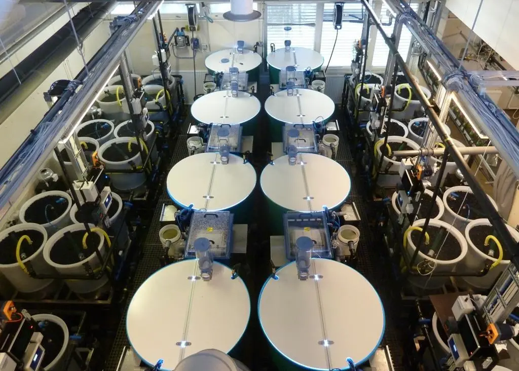 The Laukaa recirculating aquaculture testing and learning environment offers excellent opportunities for R&D on modern and environmentally friendly fish farming. Credit: Tapio Kiuru