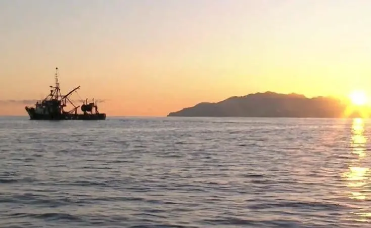 Sanford offers to stop fishing in Hauraki Gulf if all fishers record and report catch