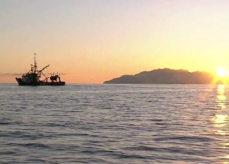 Sanford offers to stop fishing in Hauraki Gulf if all fishers record and report catch