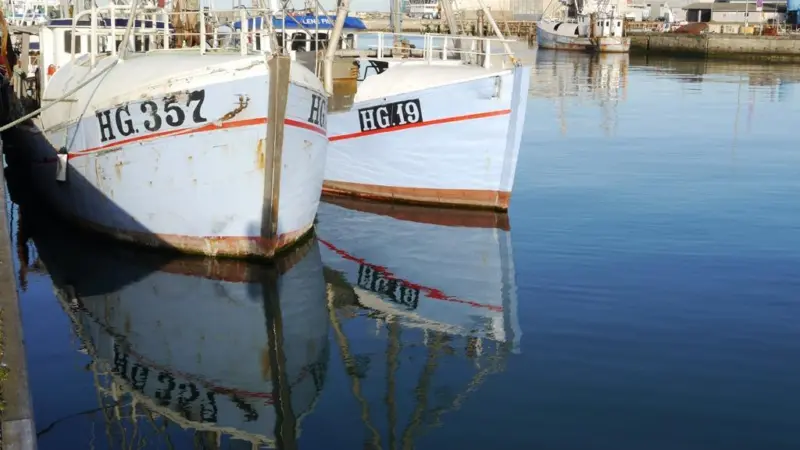 The EC has proposed fish quotas for 2016 for the Atlantic and the North Sea. Image supplied by Seafish: www.seafish.org