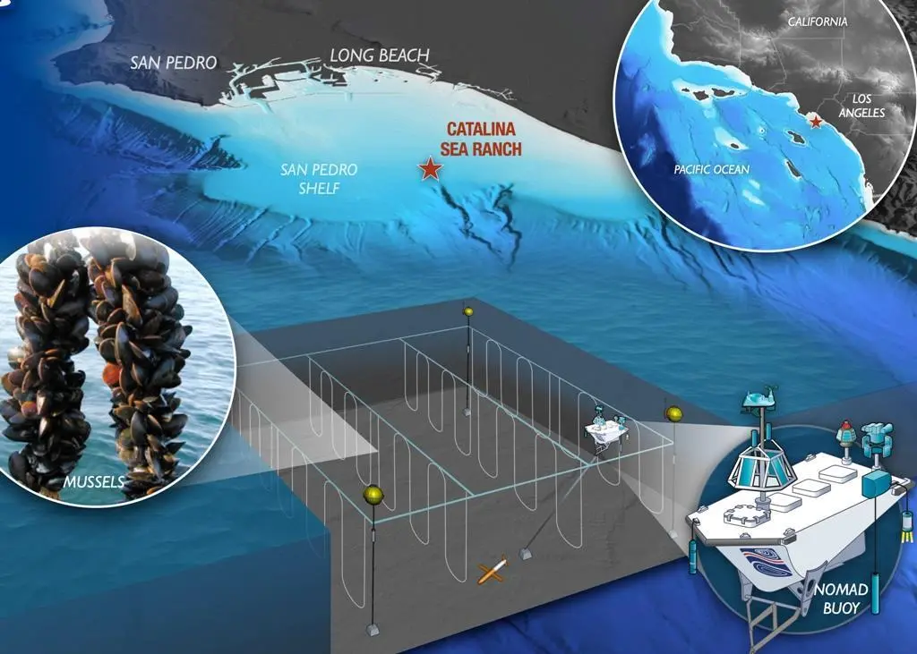 Catalina Sea Rach holds a permit for developing 100 acres of ocean space