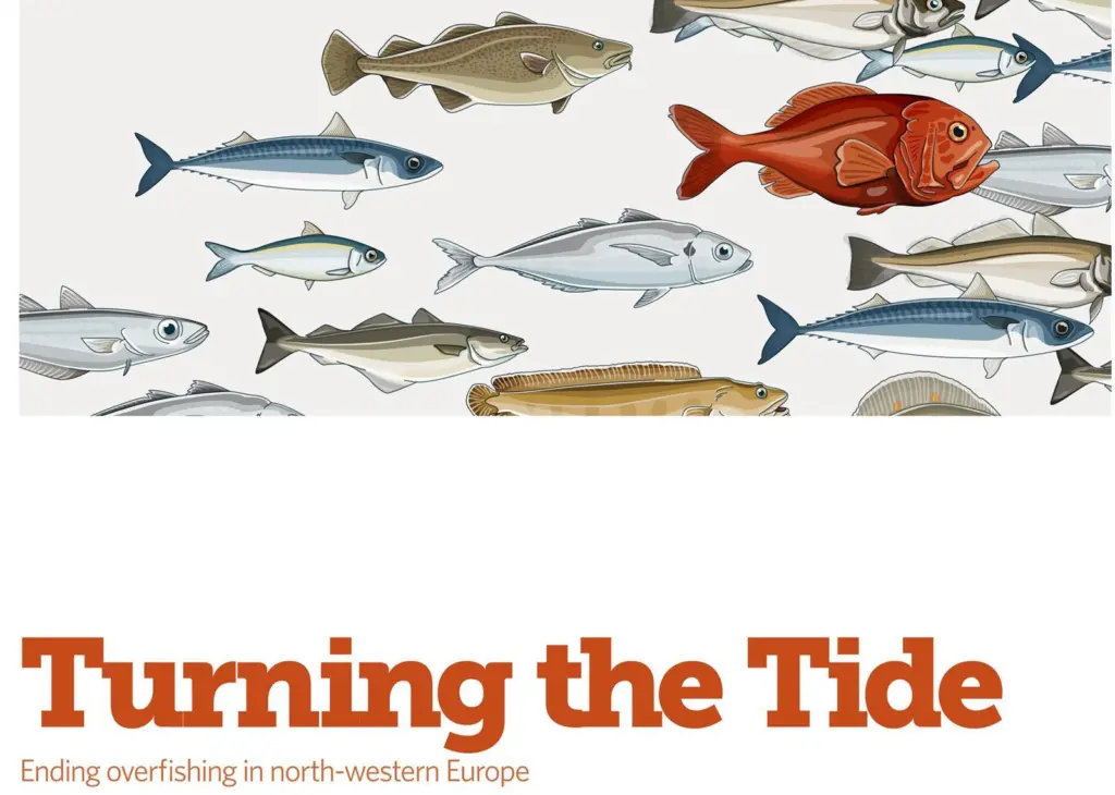 Industry seems to be at odds with Pew’s ‘Turning the Tide’ report