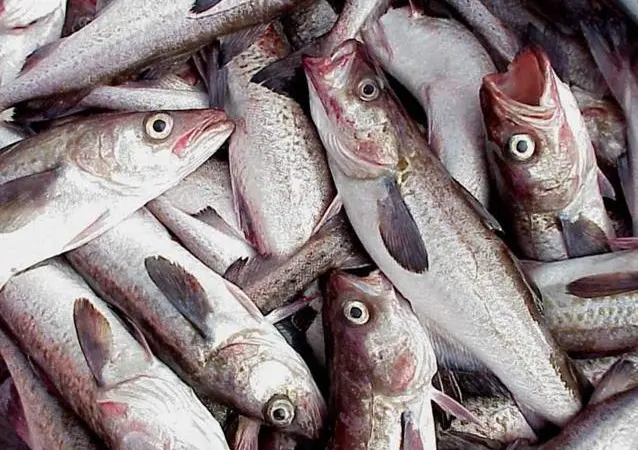 DEC collected and tested representative samples of Alaskan fish
