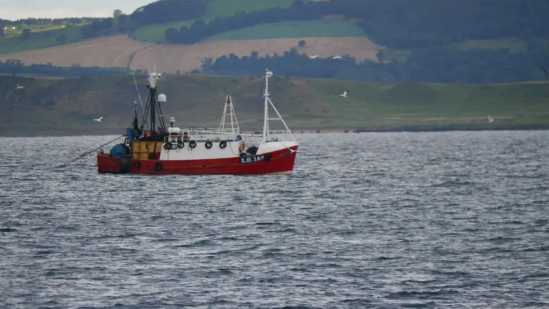 European TACs have been agreed for next year. Image supplied by Seafish: www.seafish.org