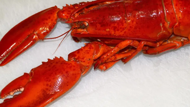Some supermarkets have whole lobster on sale for less than £5 this Christmas