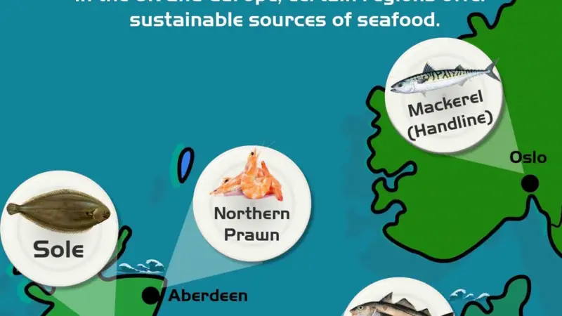 Major cities that PPS supply fish crates too and fish can be sustainably sourced from those regions