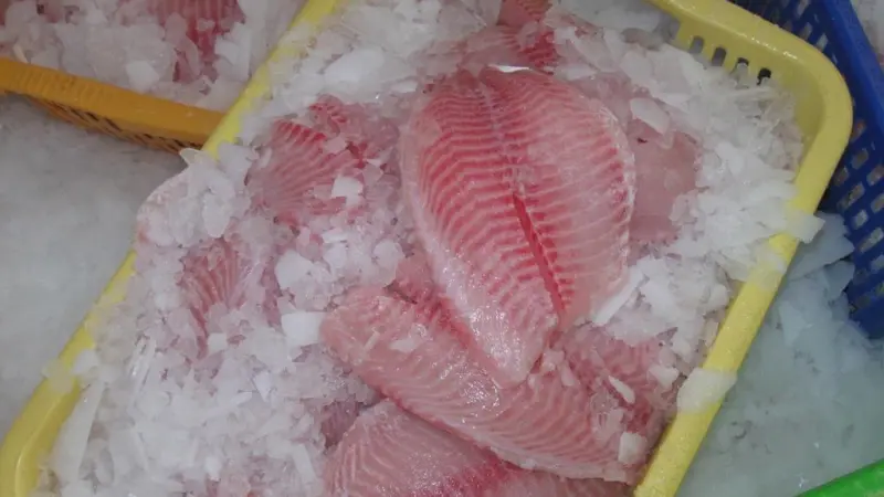 A tilapia farm in Belize is the first its county to gain ASC certification