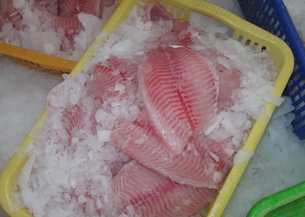 A tilapia farm in Belize is the first its county to gain ASC certification