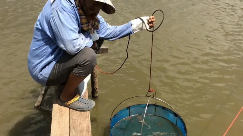 A new project has been launched to reduce major aquaculture diseases in India, Bangladesh and Malawi