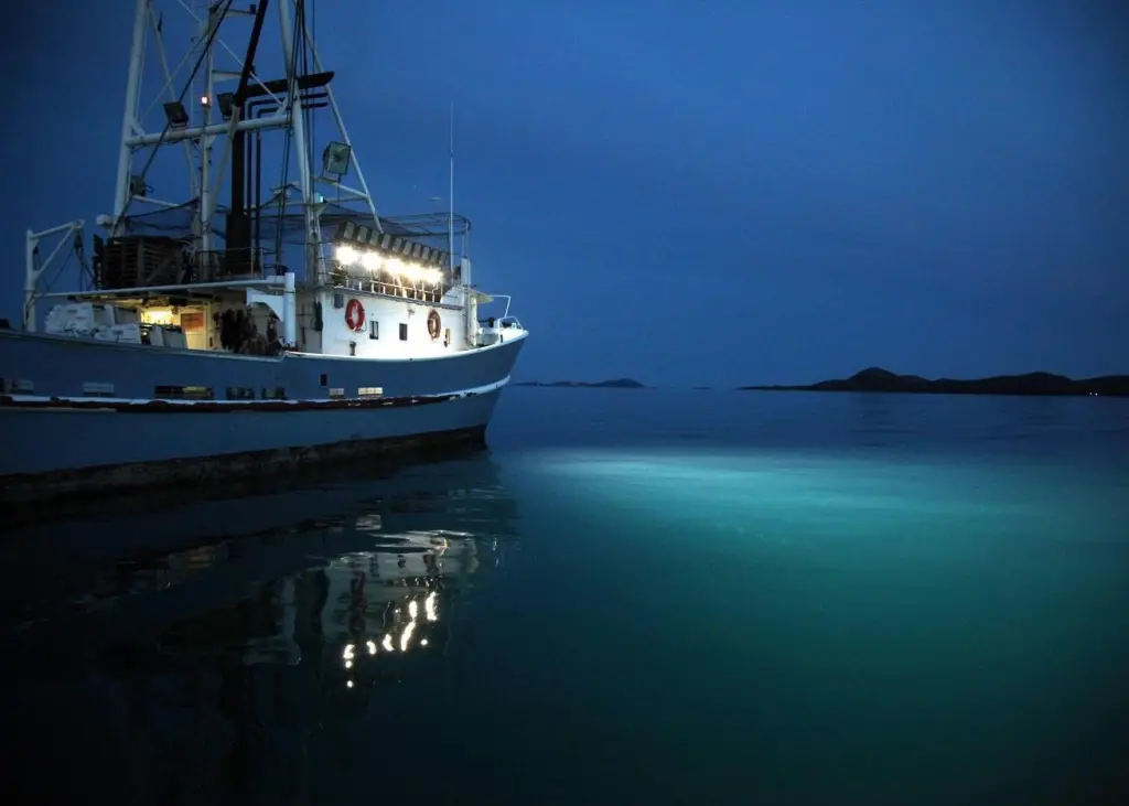 Glamox LED floodlights save energy on Carica fishing vessel