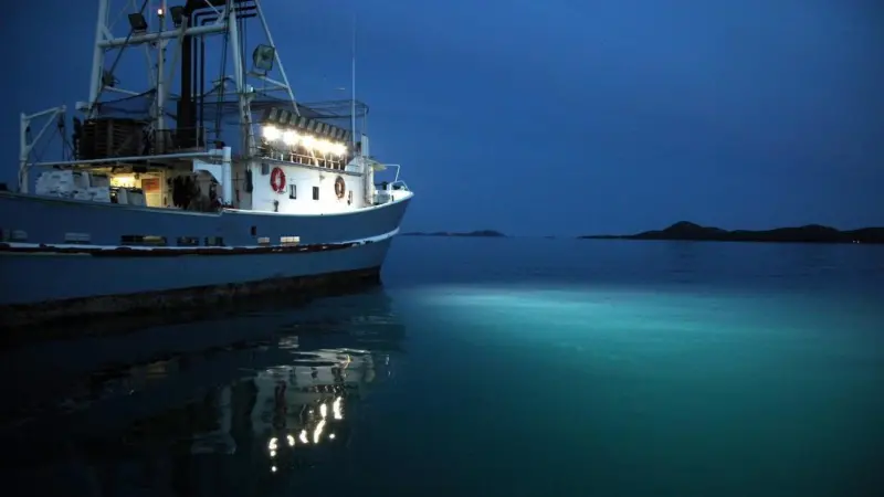 Glamox LED floodlights save energy on Carica fishing vessel