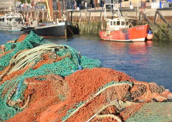 Research has provided a more accurate picture of the effects of trawl gears in MPAs