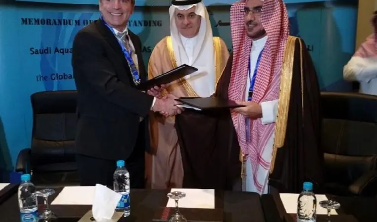 Saudi Arabia has signed an MoU which requires the country’s aquaculture facilities to earn BAP certification by the end of 2016
