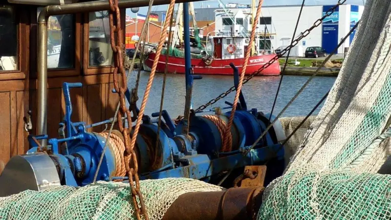 The three organisations are joining forces to seek MSC certification for their brown shrimp operations. Credit: Oxfordian Kissuth/CC BY-SA 3.0, via Wikimedia Commons